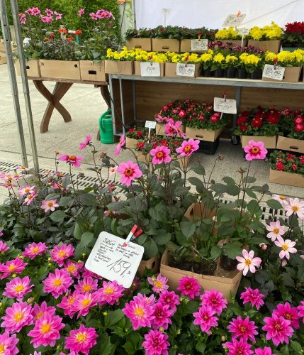 Soubor /2023-05-06-floria-kromeriz-29.jpg