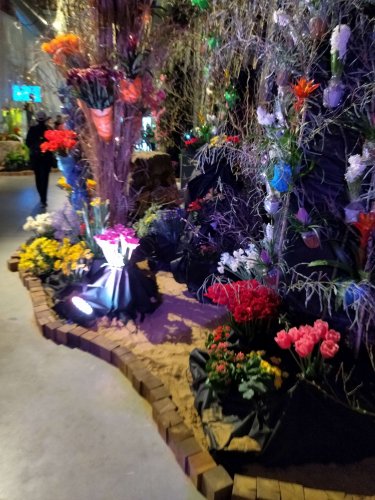 Zájezd zahrádkářů na Florii Kroměříž - 6.5.2023