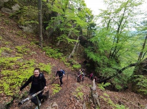 Výlet Sokola na Sulovské skály - 13.5.2023