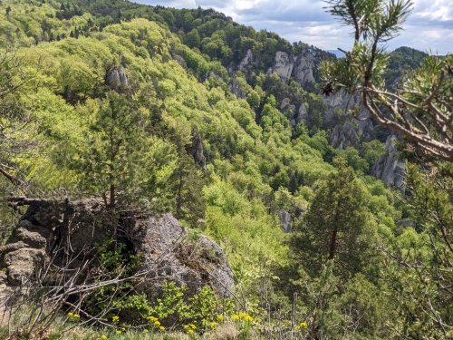 Výlet Sokola na Sulovské skály - 13.5.2023