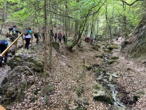 Výlet Sokola na Sulovské skály - 13.5.2023