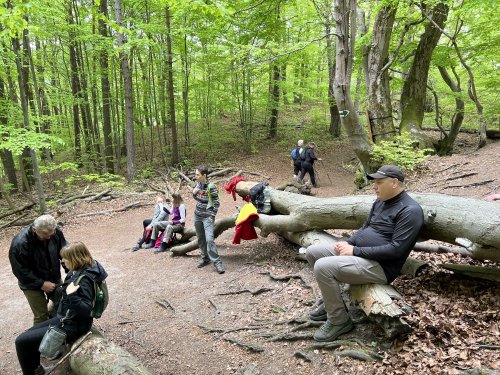 Výlet Sokola na Sulovské skály - 13.5.2023