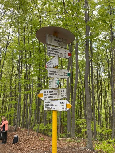 Výlet Sokola na Sulovské skály - 13.5.2023