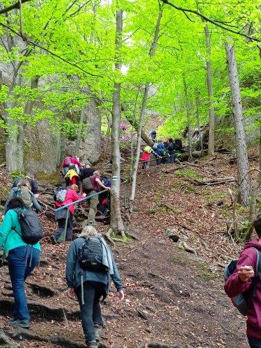 Výlet Sokola na Sulovské skály - 13.5.2023