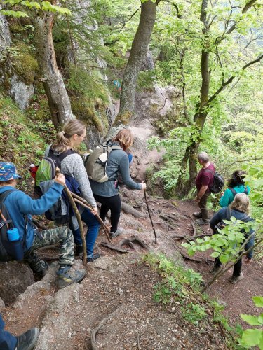 Výlet Sokola na Sulovské skály - 13.5.2023