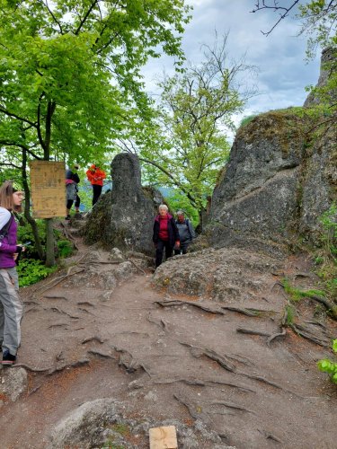Výlet Sokola na Sulovské skály - 13.5.2023