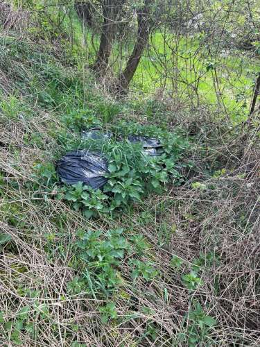 Úklid Podolí - 5.4.2024