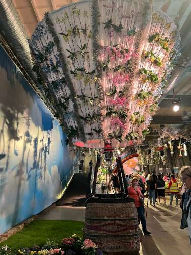 Soubor /2024-05-04-Floria-Olomouc-02.jpg