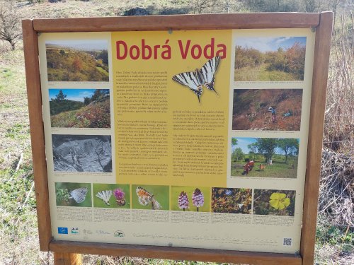 Výprava Sokolů na Dobrou Vodu - 3.4.2025