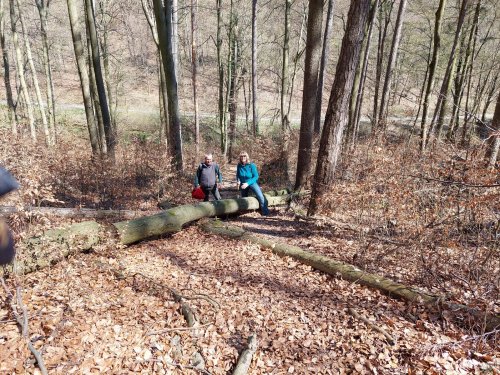 Výprava Sokolů na Dobrou Vodu - 3.4.2025