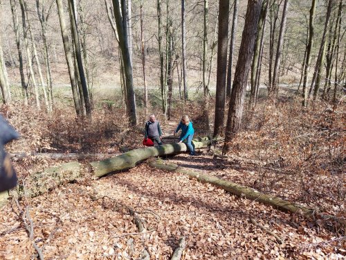 Výprava Sokolů na Dobrou Vodu - 3.4.2025