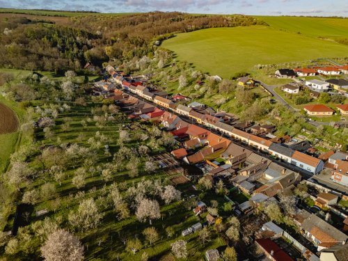 Jaro v Podolí - 13.3.2025