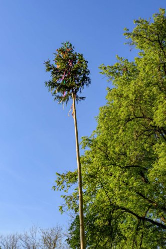 Stavění máje a čarodějnice - 30.4.2025