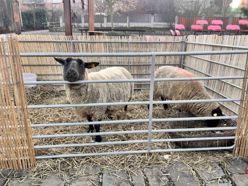 Živý Betlém - 27.12.2025