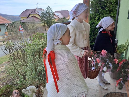 Nosení létečka - královničky - 22.3.2026