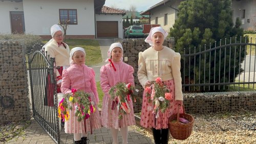 Nosení létečka - královničky - 22.3.2026