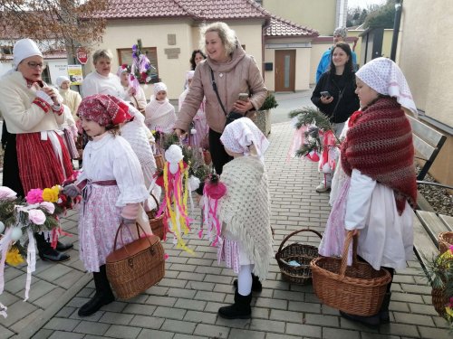 Nosení létečka - královničky - 22.3.2026