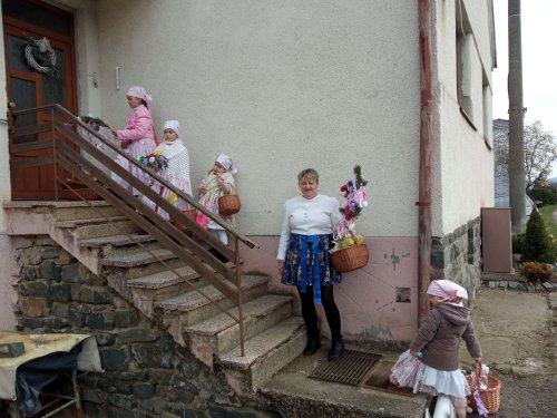 Nosení létečka - královničky - 22.3.2026