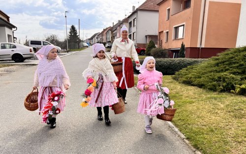 Nosení létečka - královničky - 22.3.2026