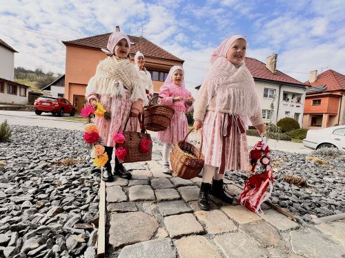 Nosení létečka - královničky - 22.3.2026