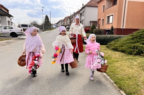 Nosení létečka - královničky - 22.3.2026