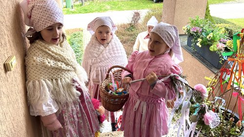 Nosení létečka - královničky - 22.3.2026