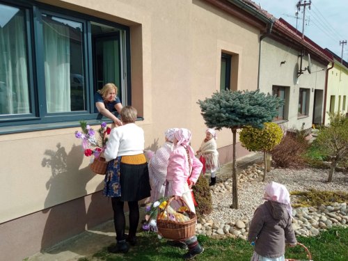 Nosení létečka - královničky - 22.3.2026