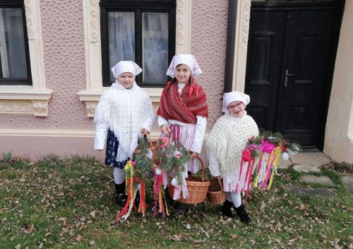 Nosení létečka - královničky - 22.3.2026