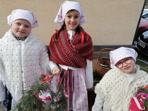 Nosení létečka - královničky - 22.3.2026